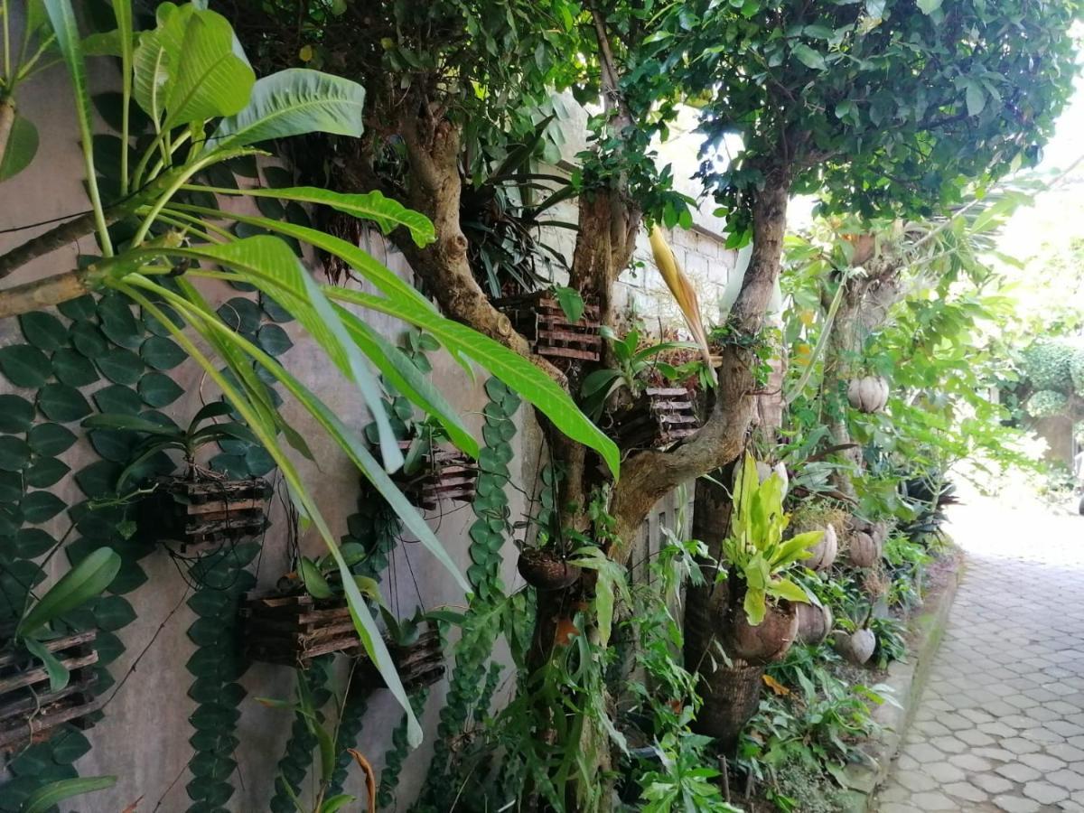 Coliving Bali Sweet Home Kost Lengkap Di Tabanan Kota Eksteriør billede