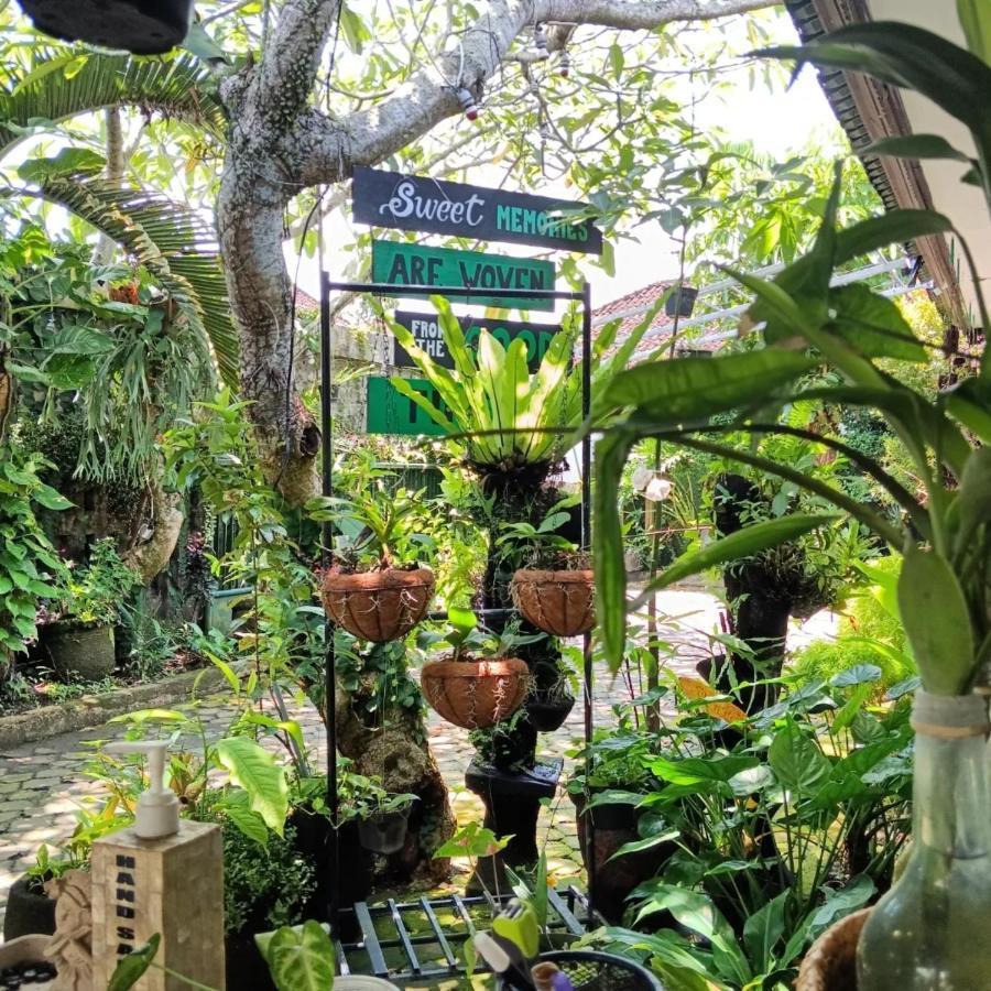 Coliving Bali Sweet Home Kost Lengkap Di Tabanan Kota Eksteriør billede