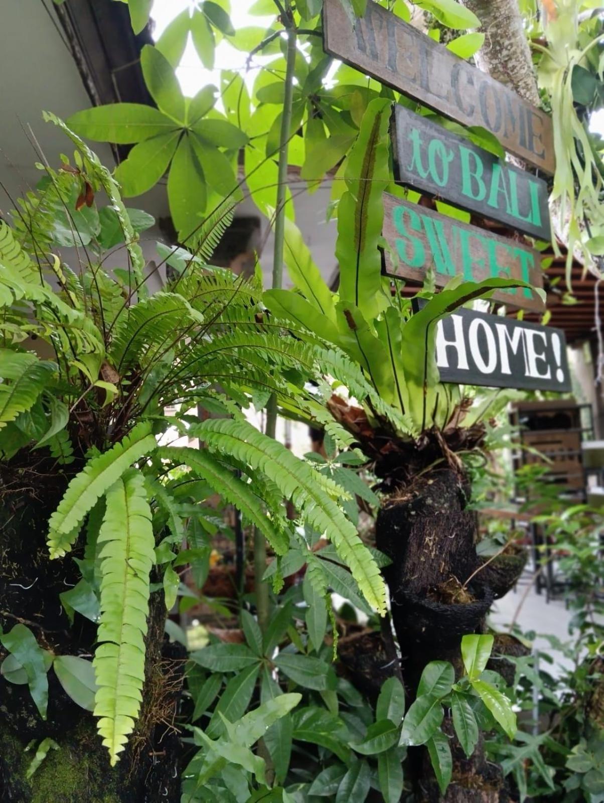 Coliving Bali Sweet Home Kost Lengkap Di Tabanan Kota Eksteriør billede